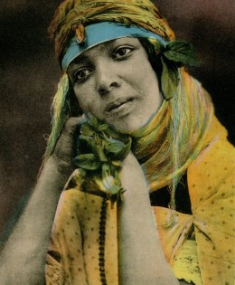 Algeria Fortune Teller