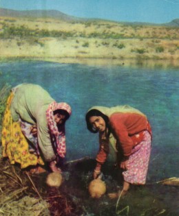 Iran Fars Qashqai Children