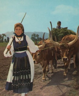 Portugal Minho Country Scene